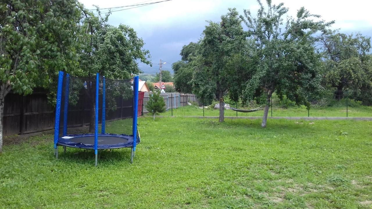 Pensiunea Ana-Maria Polovragi Dış mekan fotoğraf